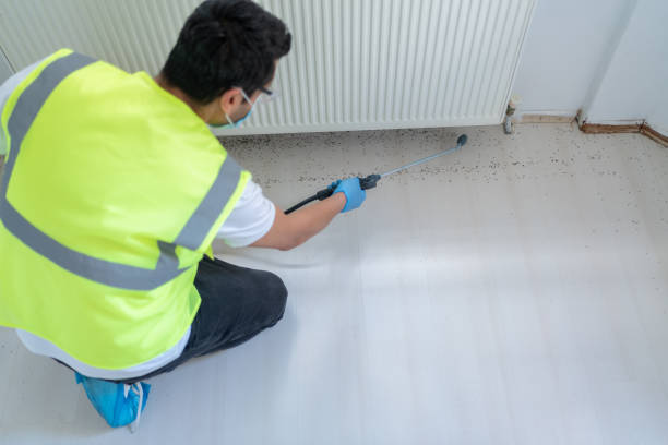 Real Estate Pest Inspections in Granger, WA